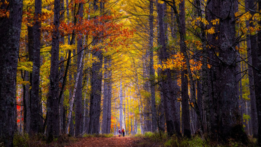 1753216 (a): :2840x1597